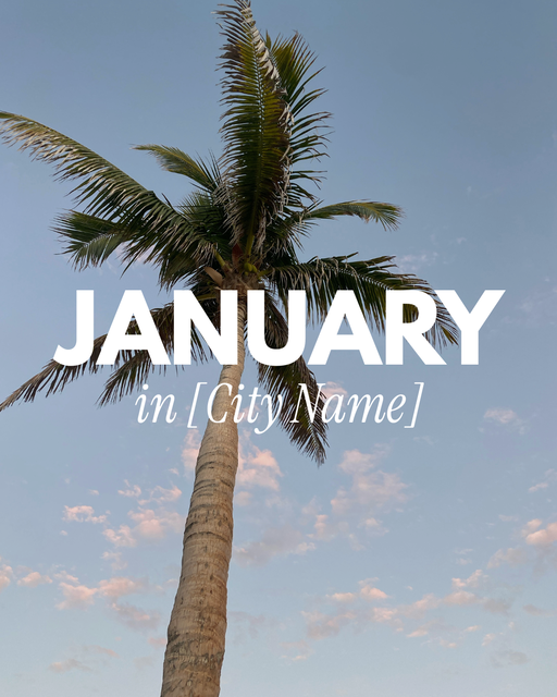 The Monthly Edit | January - 2